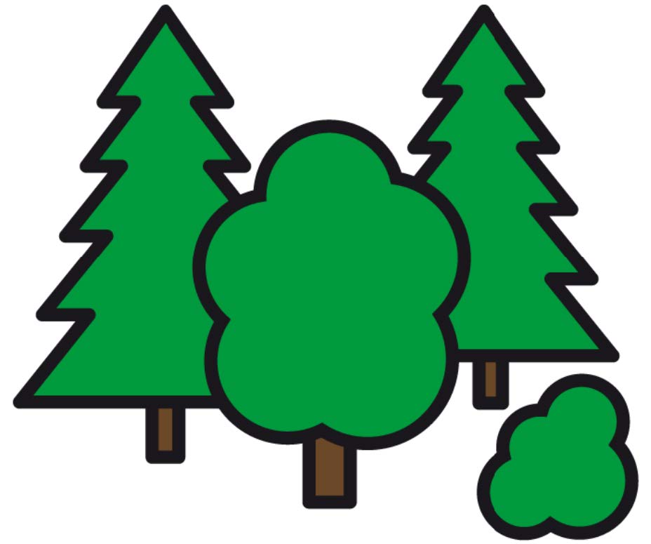 Im Wald